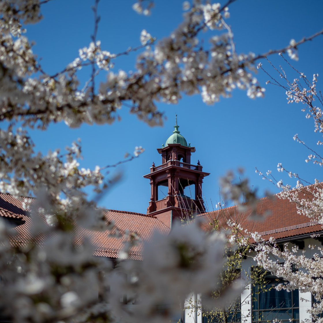 bell tower in distance