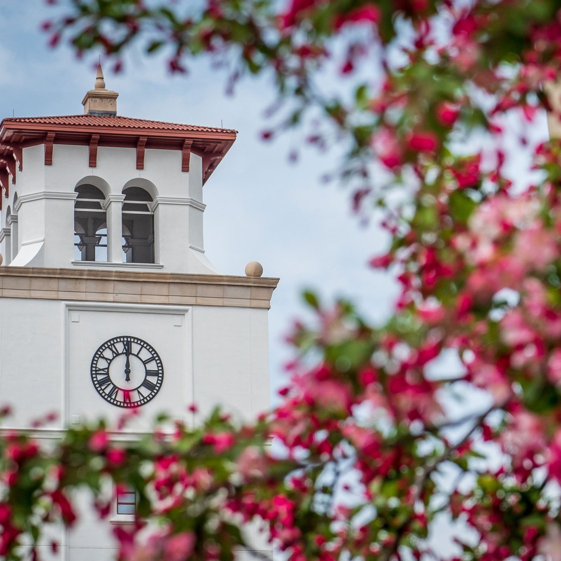 Clock tower on campus behind a tree with pink and green leaves.