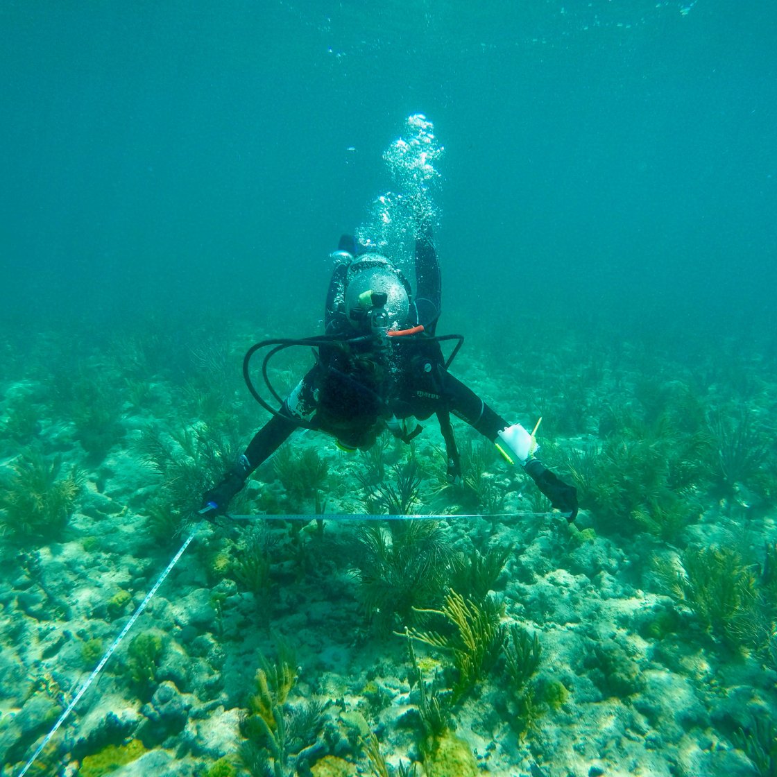 Man underwater in gear near a reef.
