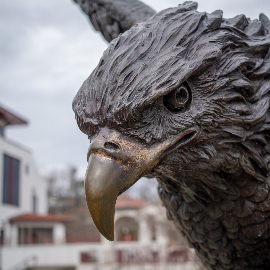 close up of hawk statue