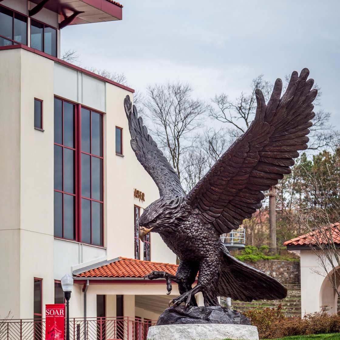 A picture of the Red Hawk statue with campus buildings in background.