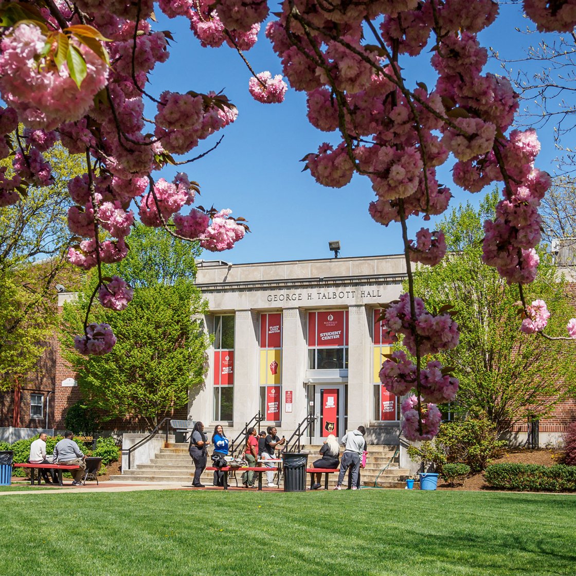 Talbott Hall framed by cherry blossoms