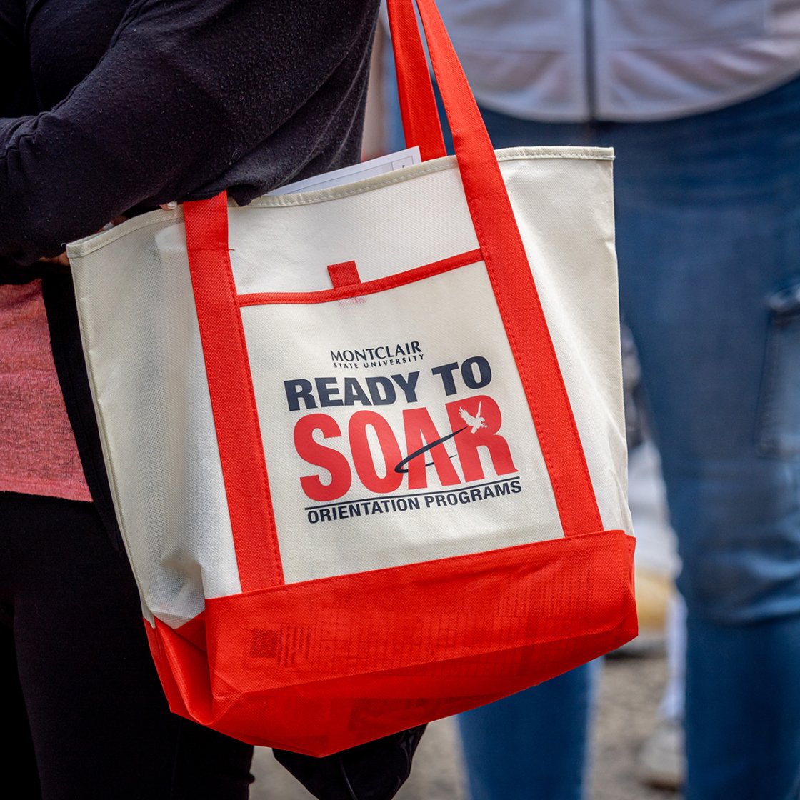 tote bag that says ready to soar