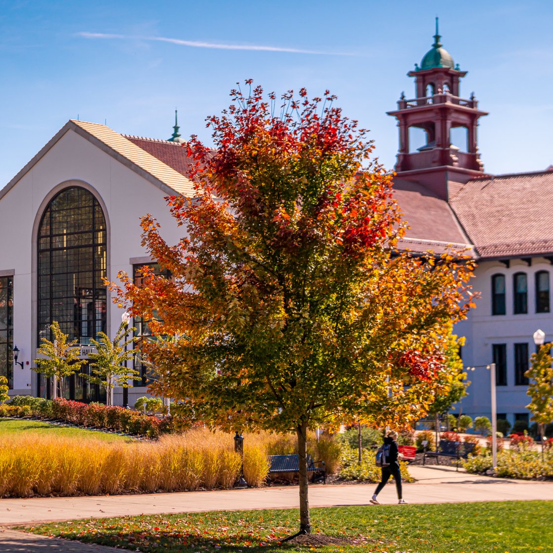 This picture shows a tree with fall-colored leaves in front of Cole Hall.