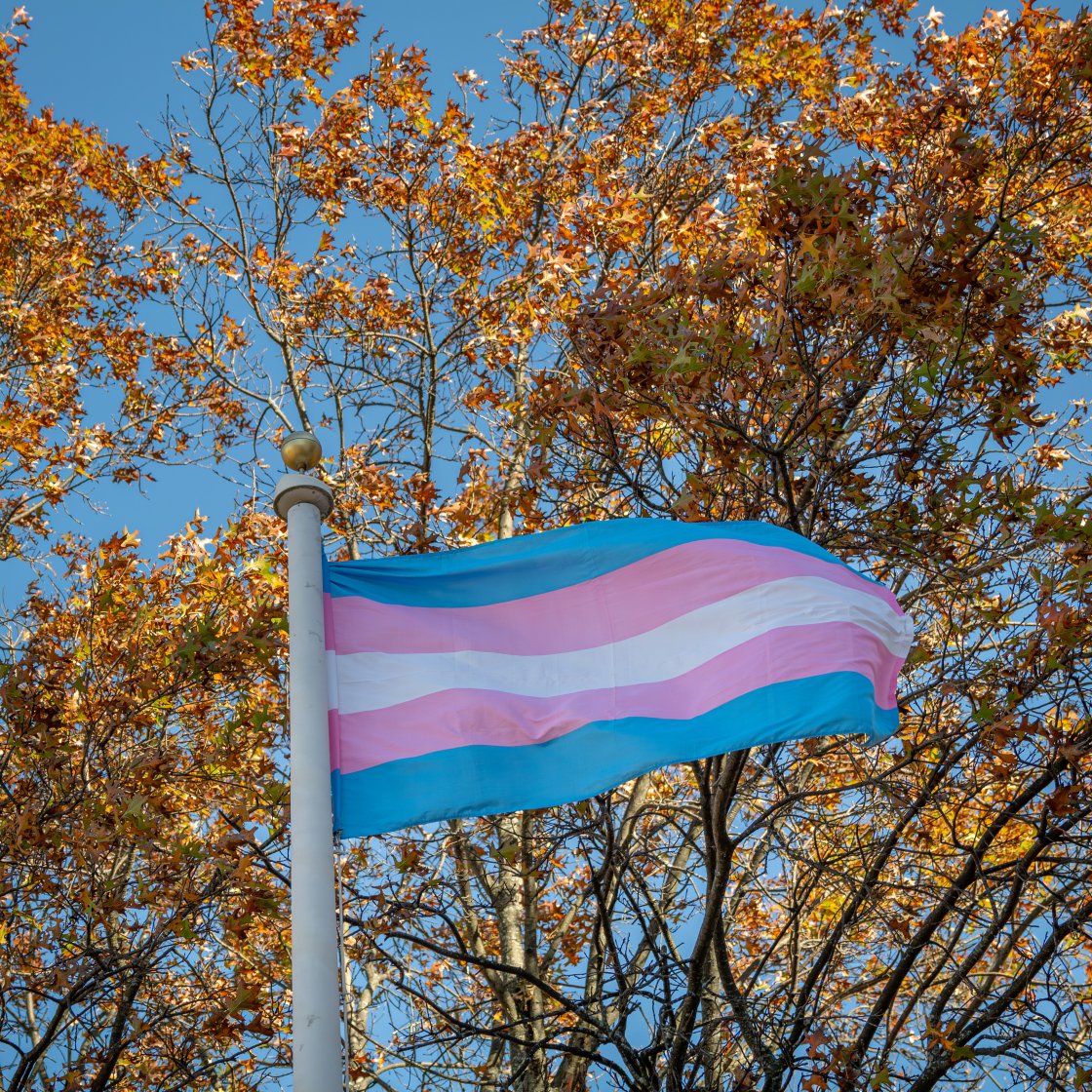 transgender flag on flag pole during the fall season