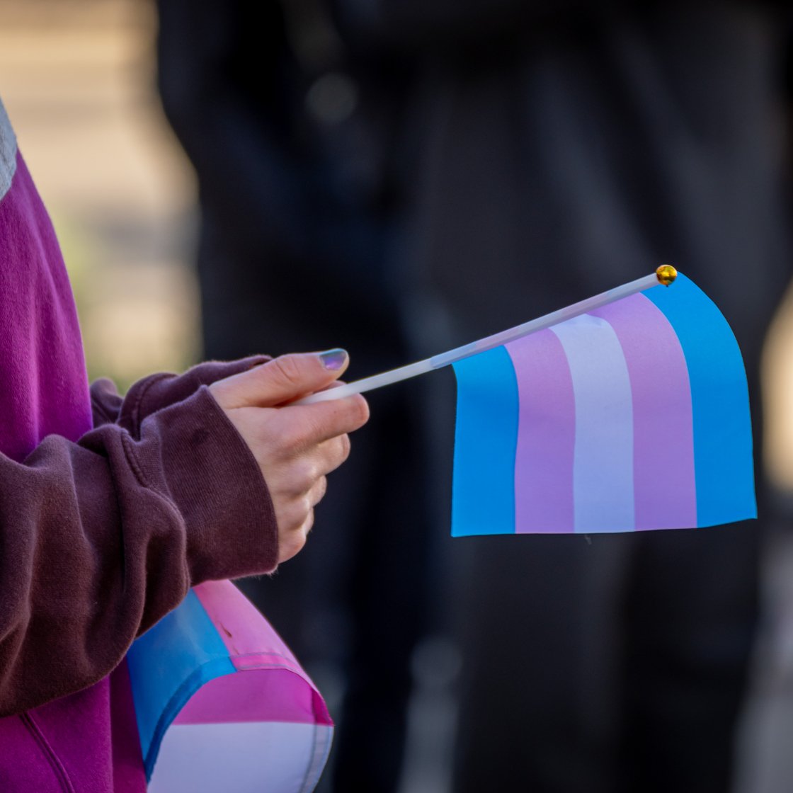 a small trans flag in a students hand