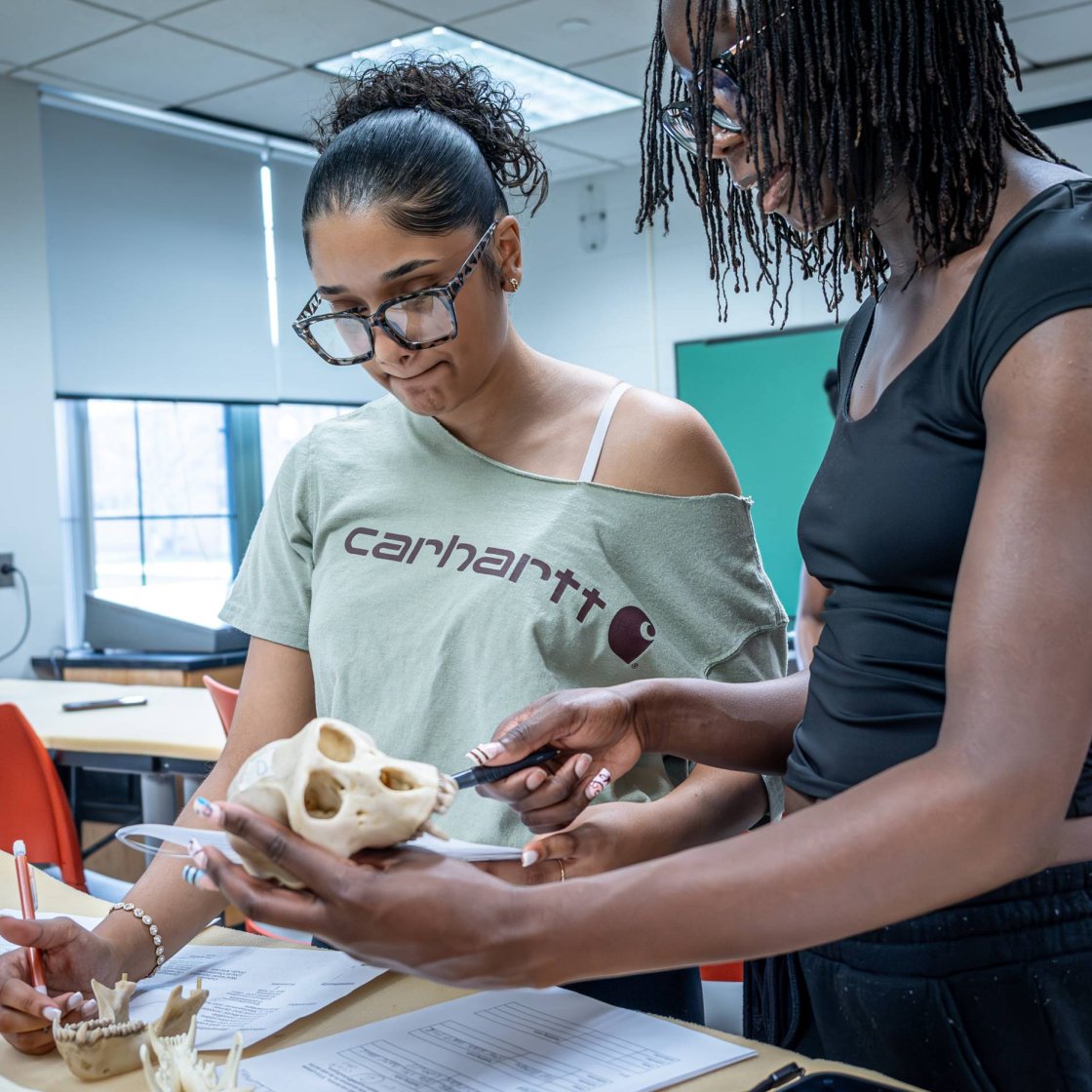 Two students examine a skull in a classroom