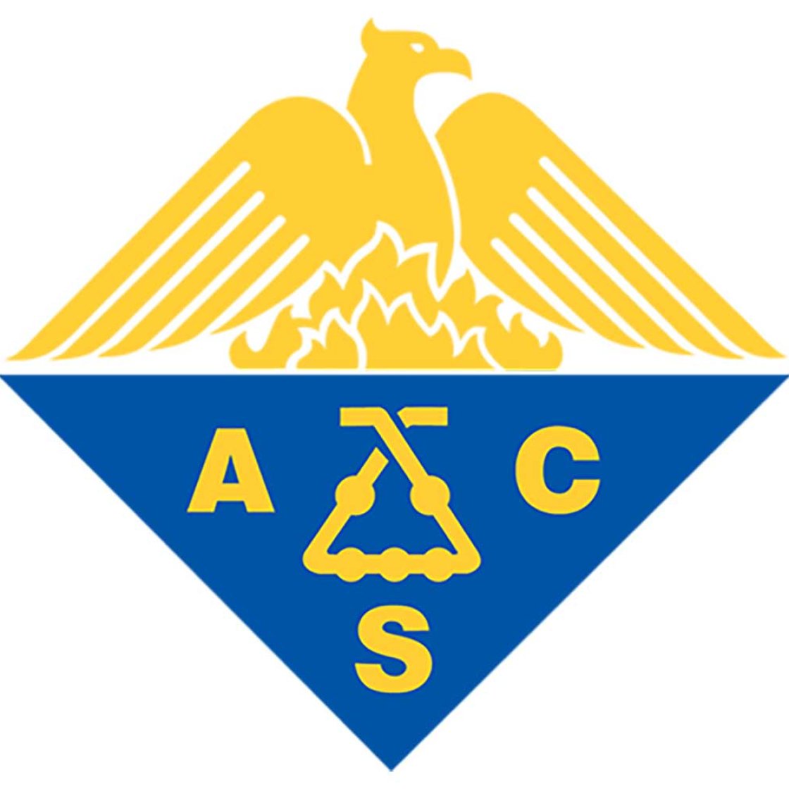 ACS logo