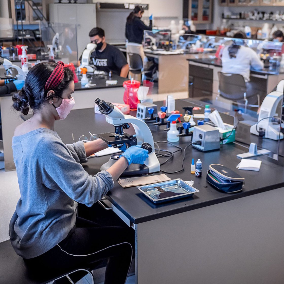 students working in molecular biology lab