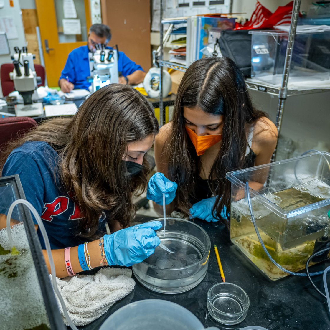 Weston Science Scholars working in jellyfish lab