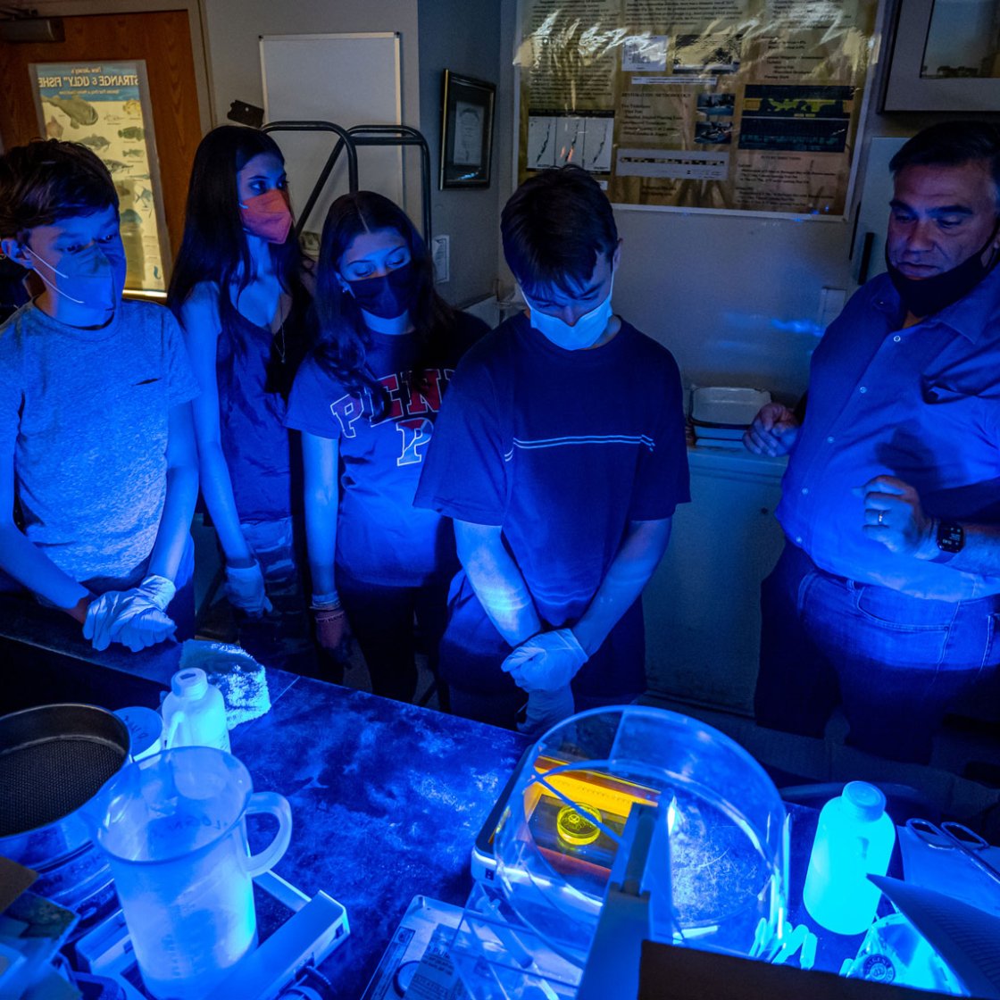 Weston Science Scholars in jellyfish lab