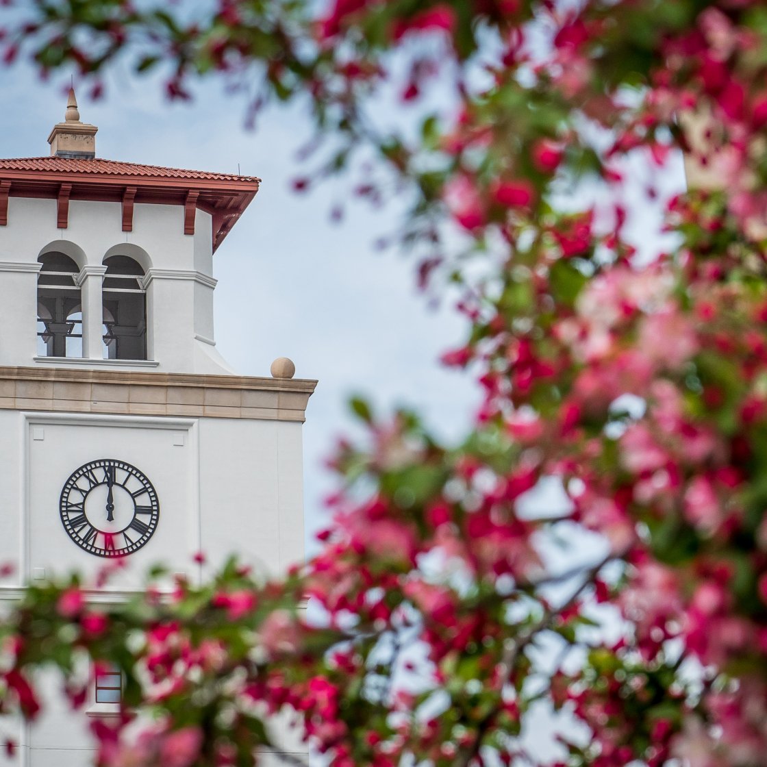 University Hall clock tower with spring blossoms in front