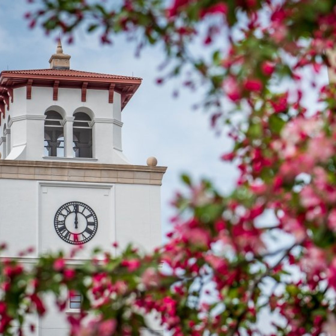 University Hall through the trees