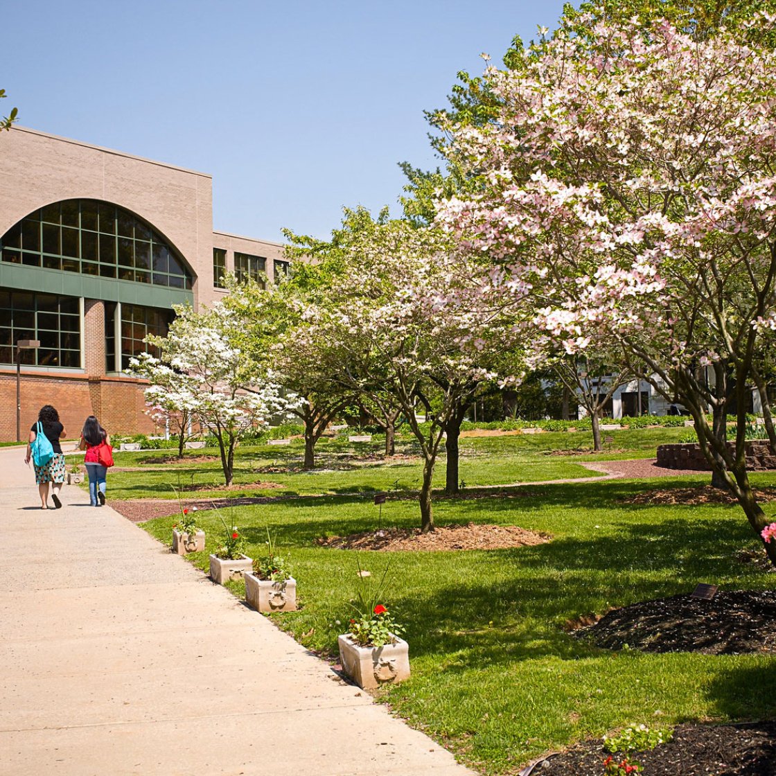 far view of side of sprague library with students on walkway