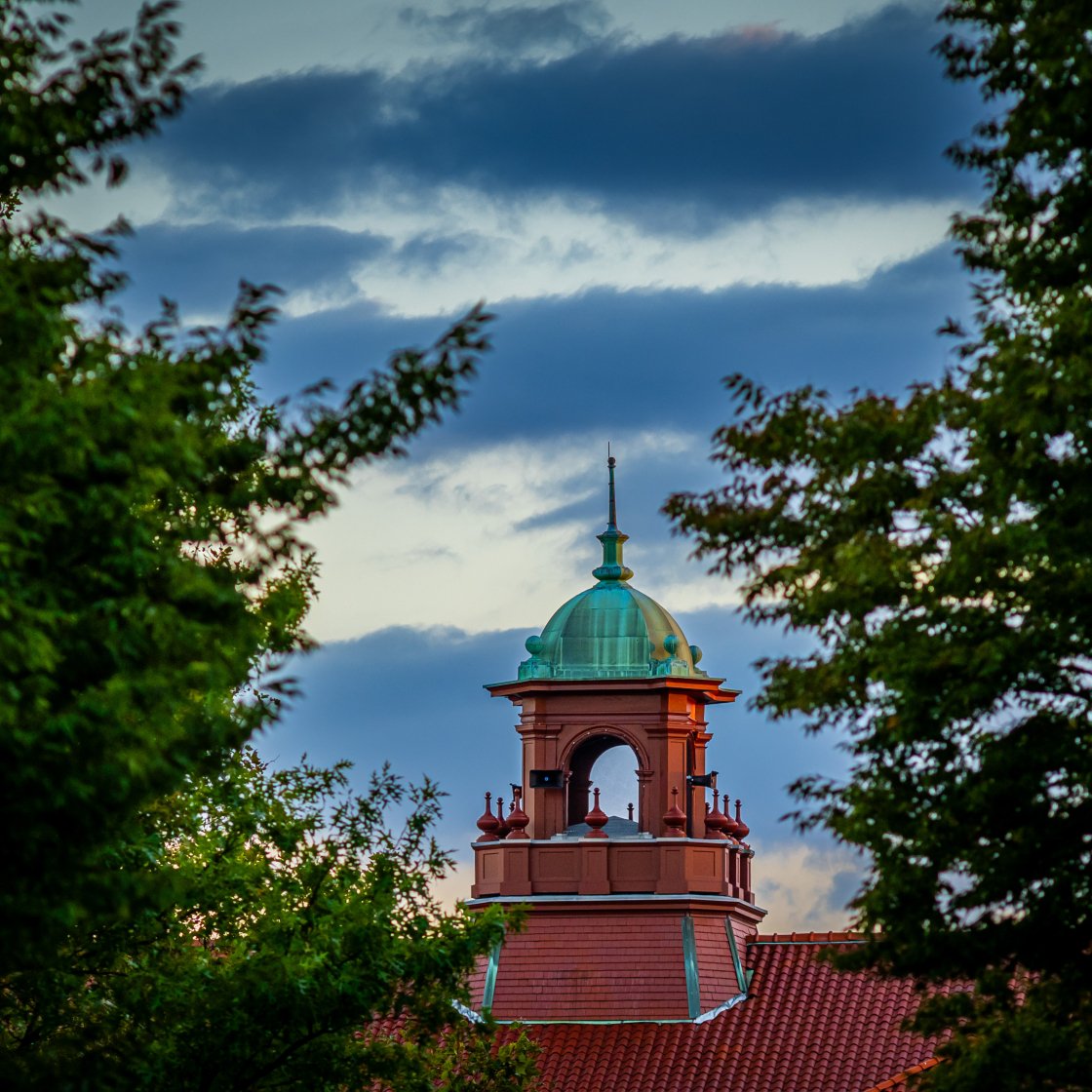 aerial shot of the cole hall bell tower 