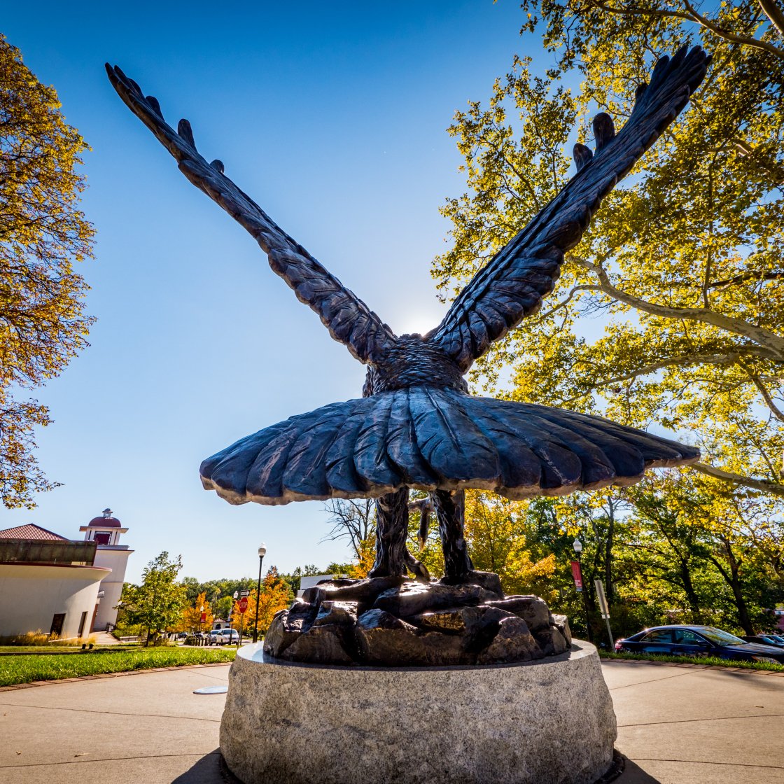 back of the hawk statue