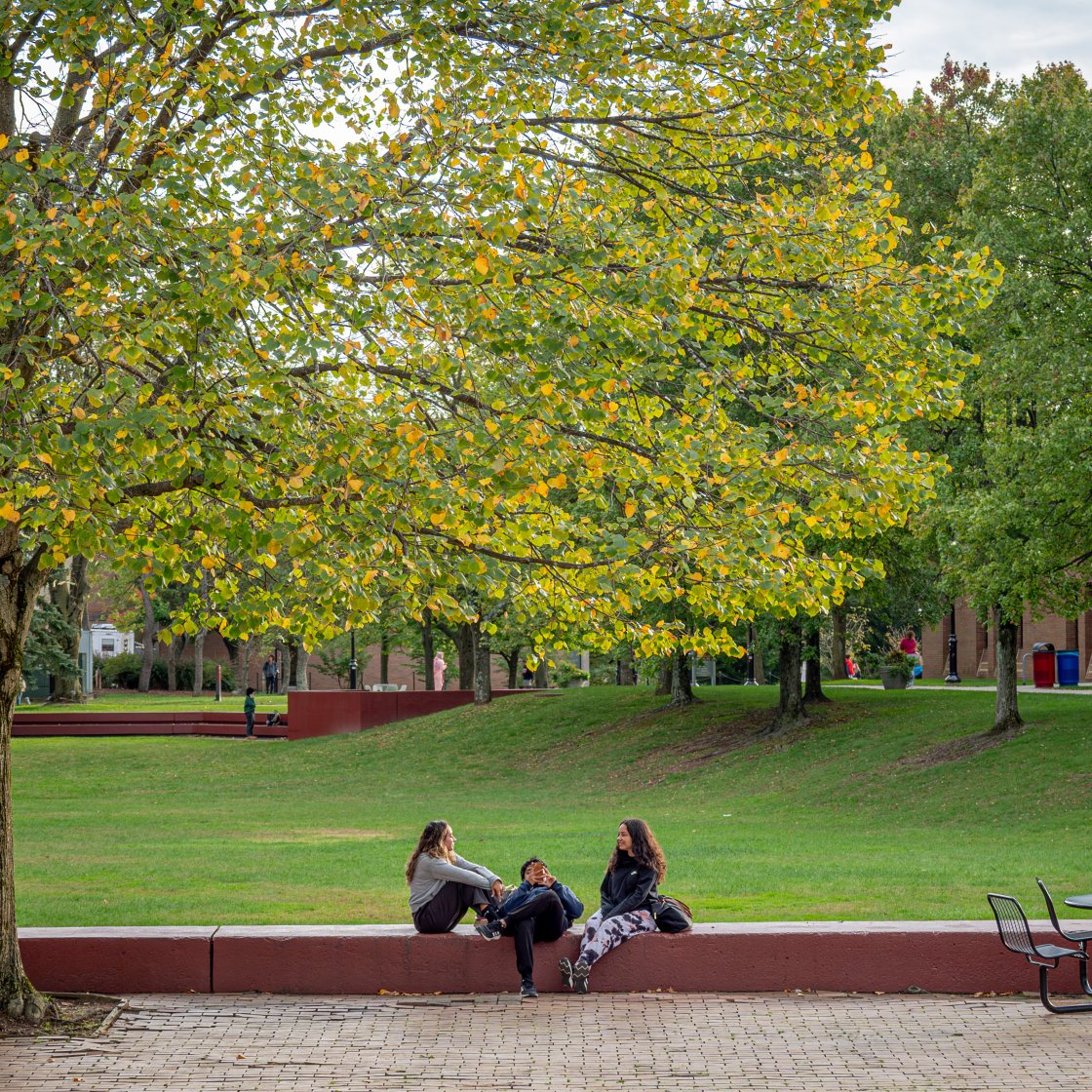 a few students sitting outside in the quad