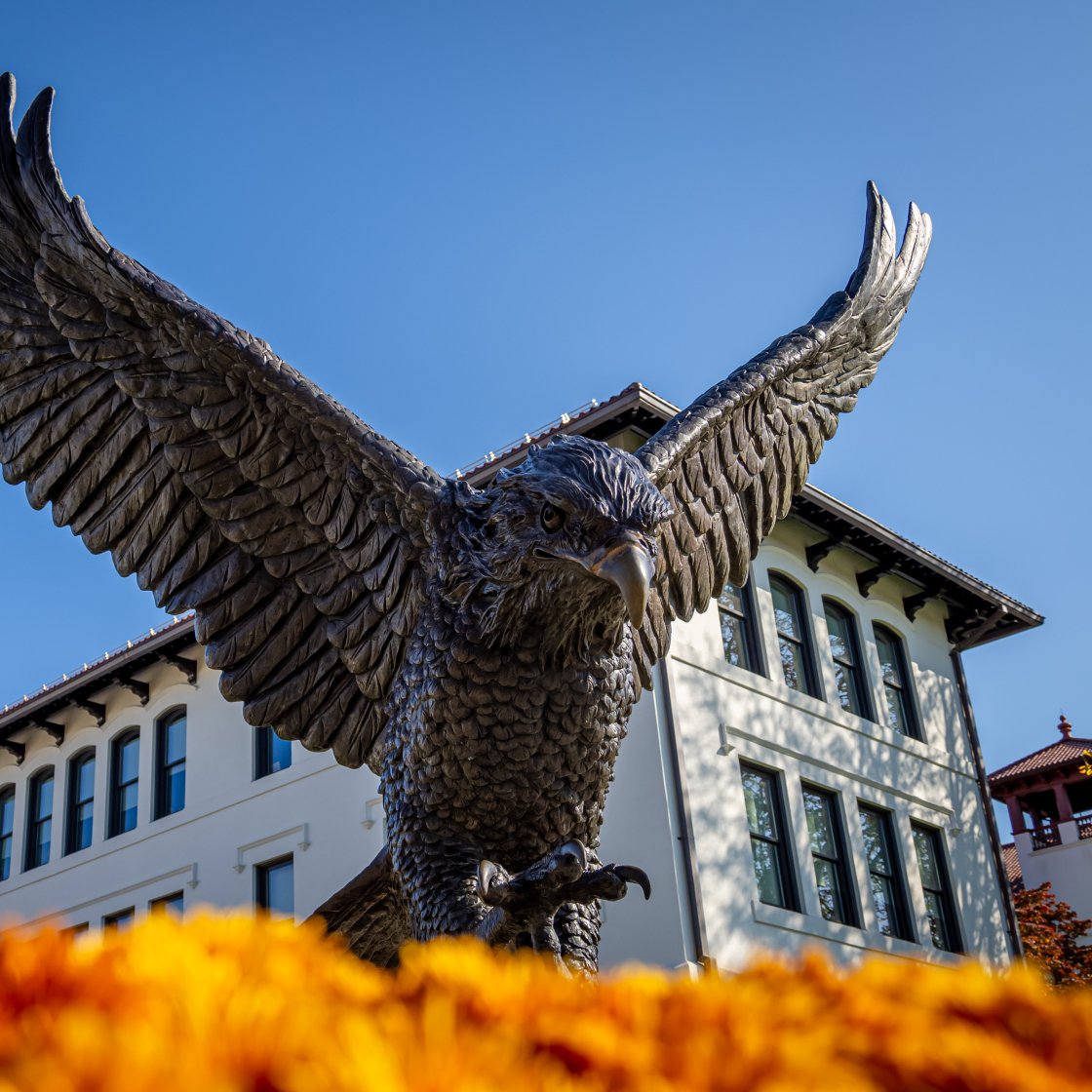hawk statue in the fall from below