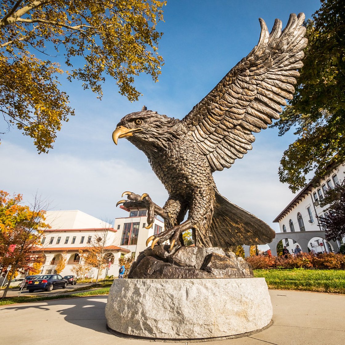 Hawk Statue on a sunny day