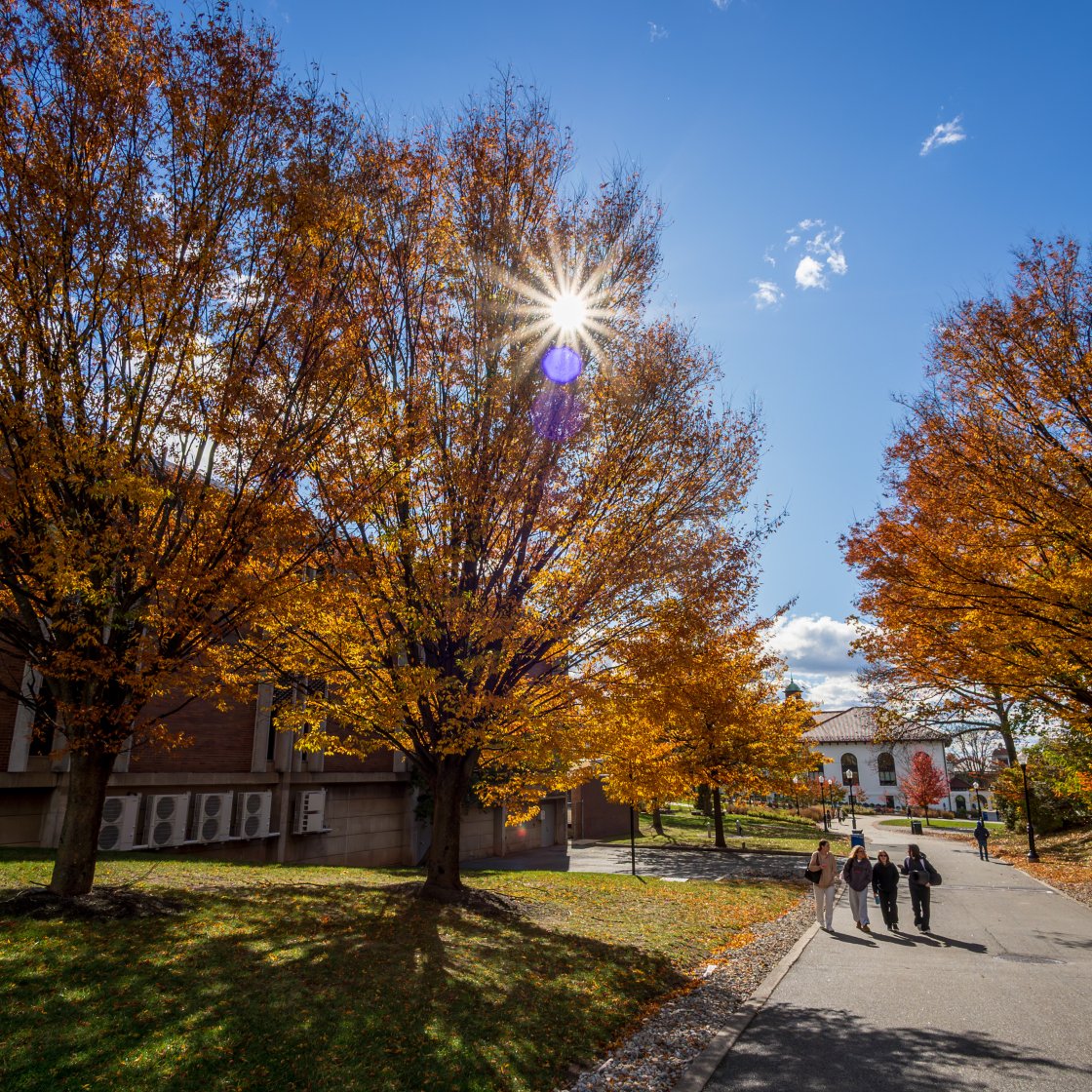 students walking in the distance in campus during the fall