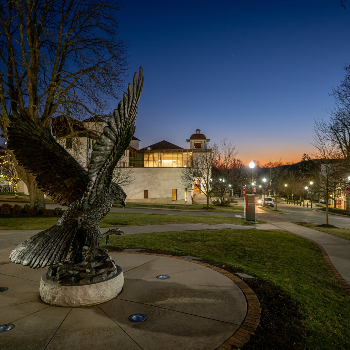 hawk statue at night
