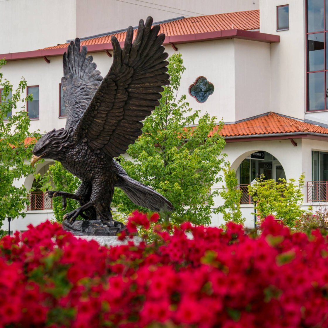A row of red flowers sits in front of a large, bronze statuue of a Red Hawk