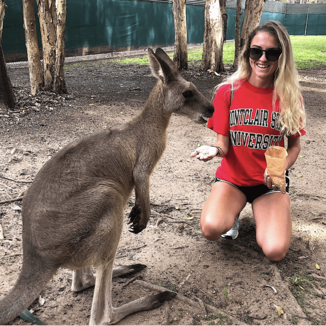 Montclair State University Study Abroad Kangaroo Australia 