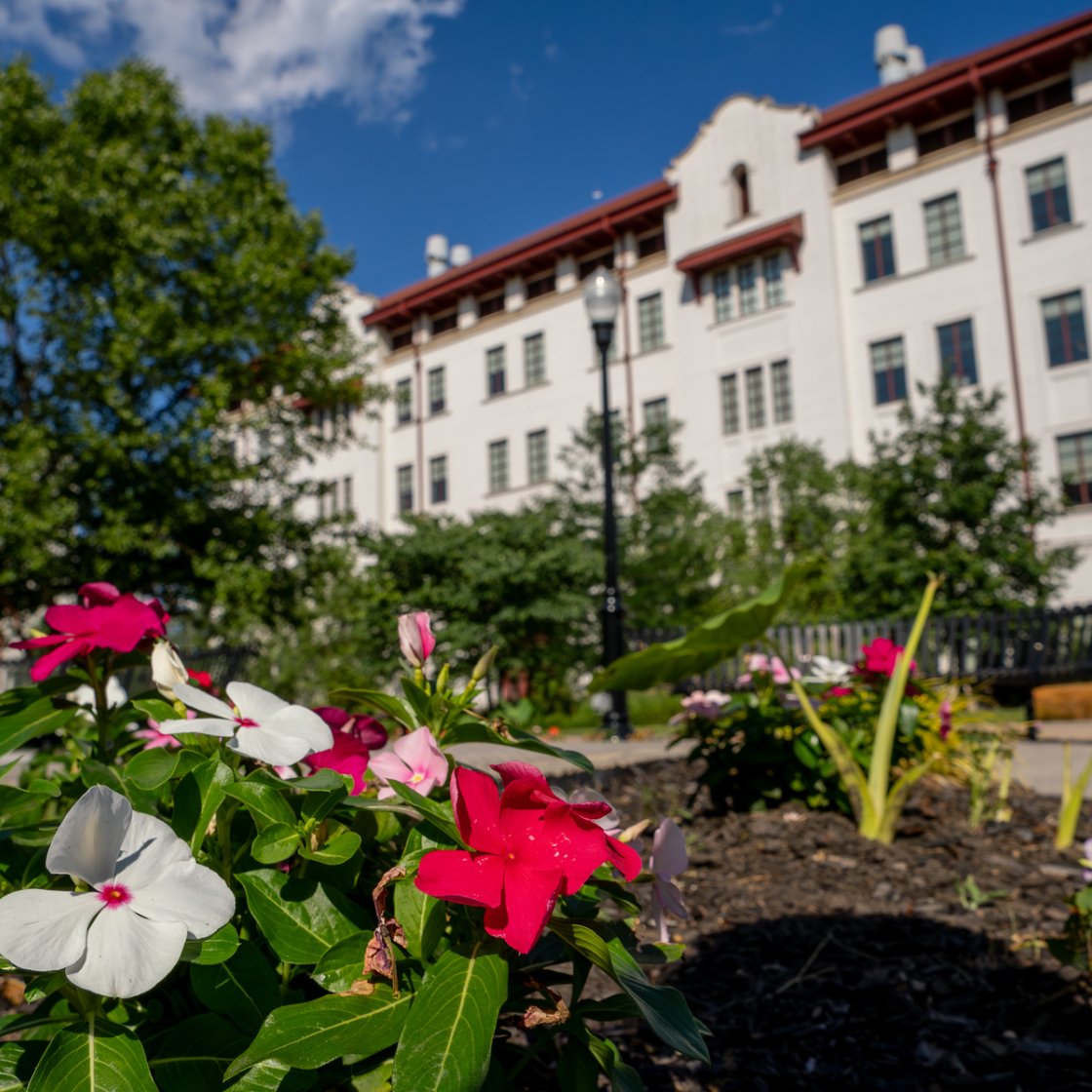 A colorful flower bed blooms in the foreground with a campus building, trees, and a bright blue sky in the background.
