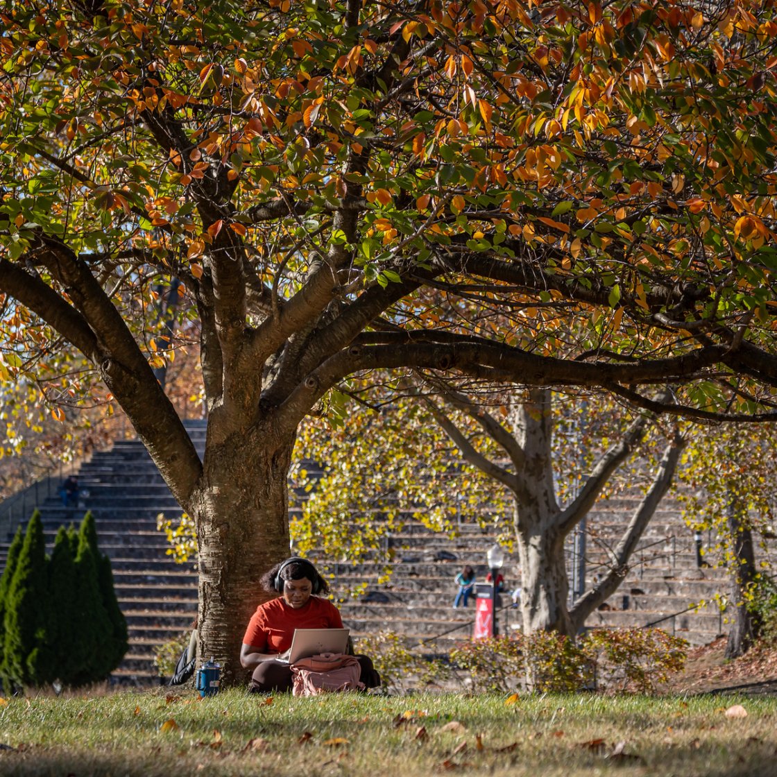 A student sits beneath a large tree with autumn-colored leaves, working on a laptop on a campus lawn with stone steps in the background.