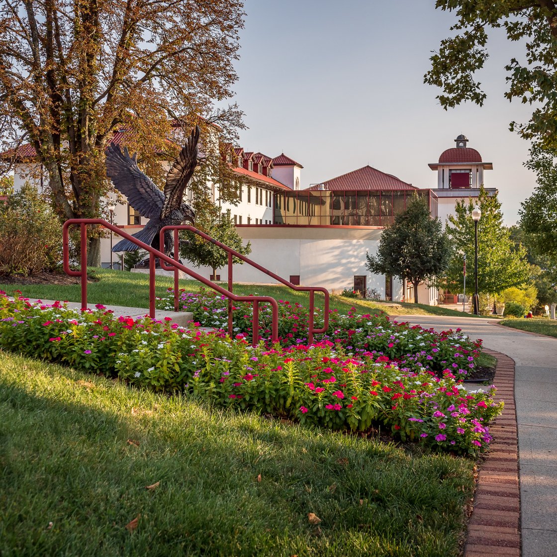 A view from College Ave past the Red Hawk statute toward Cali, with flowers in the middle ground