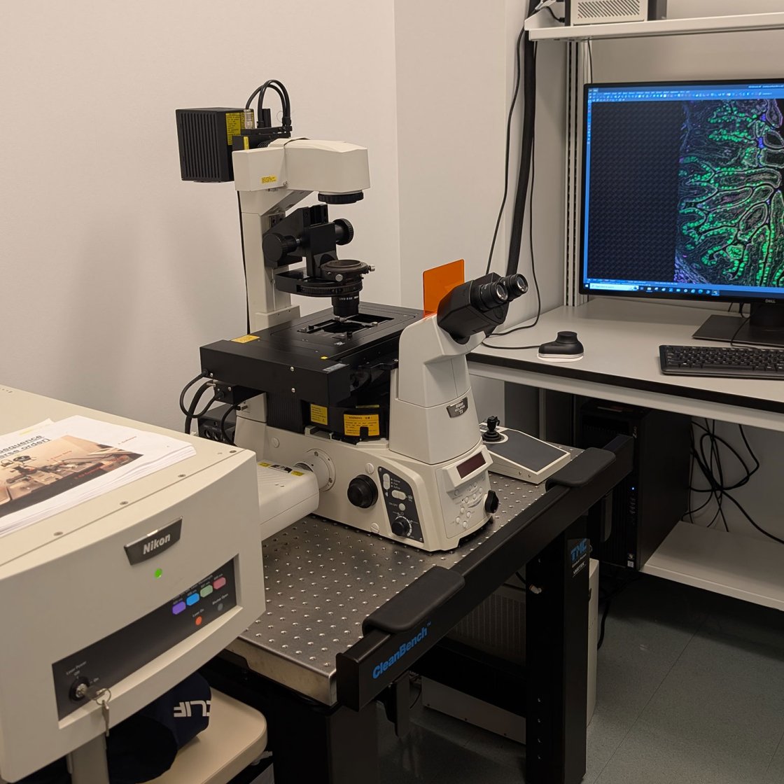 Nikon C2 Plus Confocal Laser Scanning Microscope (CLSM)