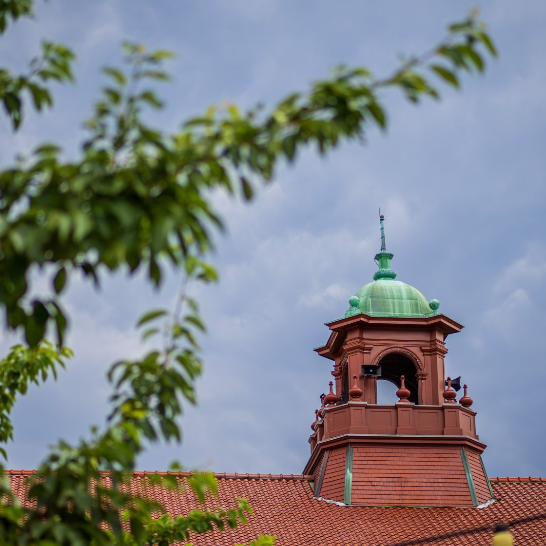 cole hall bell tower with tree branches in foreground
