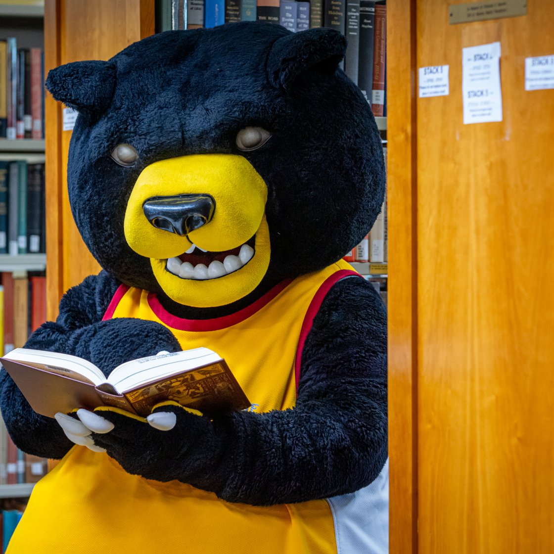 Bear mascon holding book 
