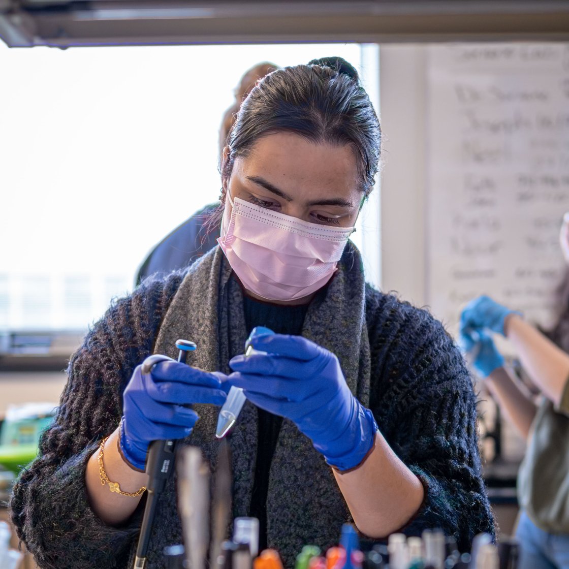 Student researcher wearing gloves uses a pipette at a laboratory bench.