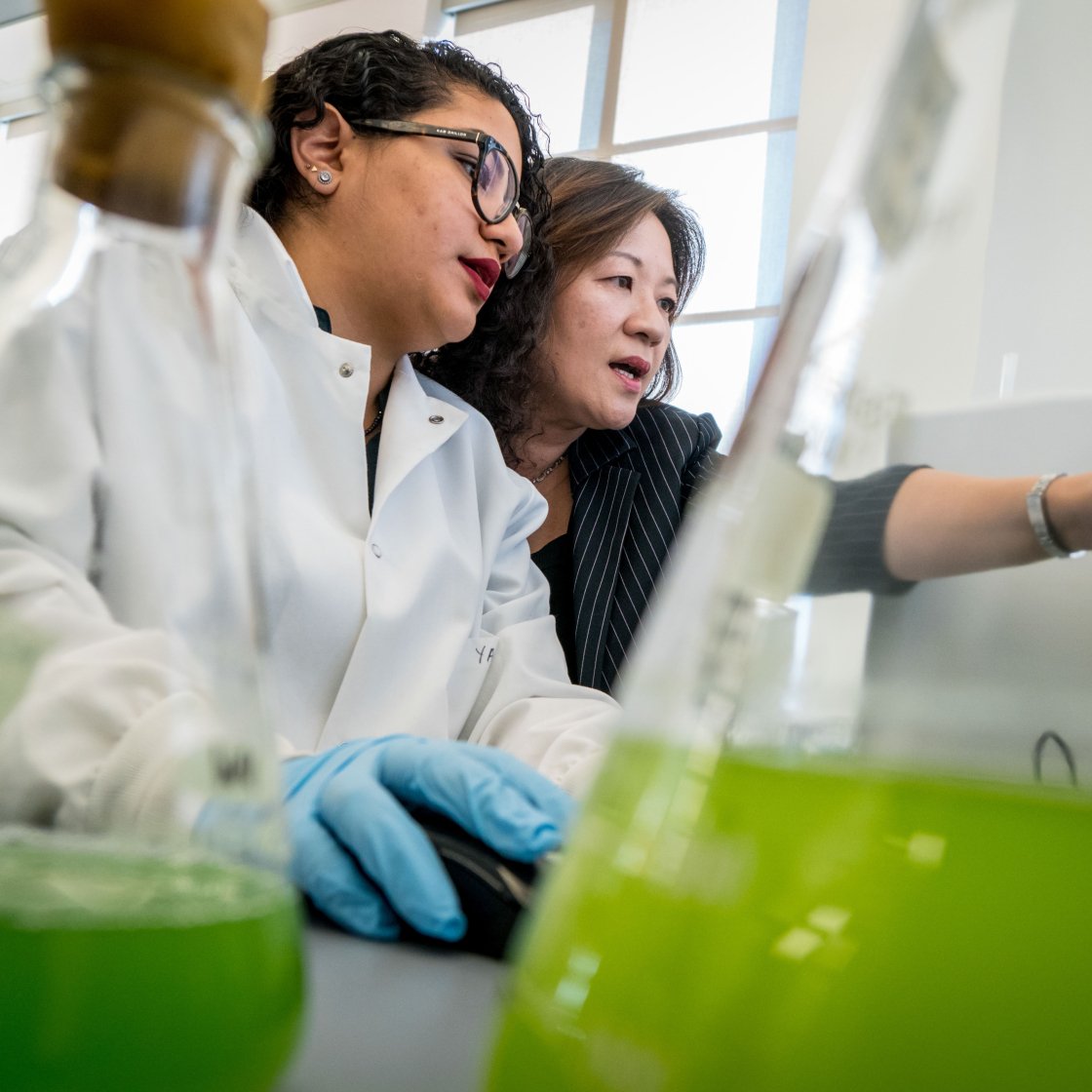 Researchers examine flasks of green liquid in a laboratory.