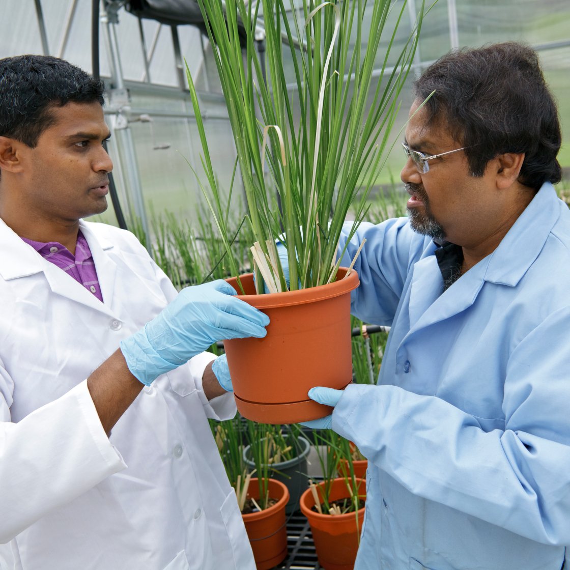 Two people holding a plant wearing lab coats 