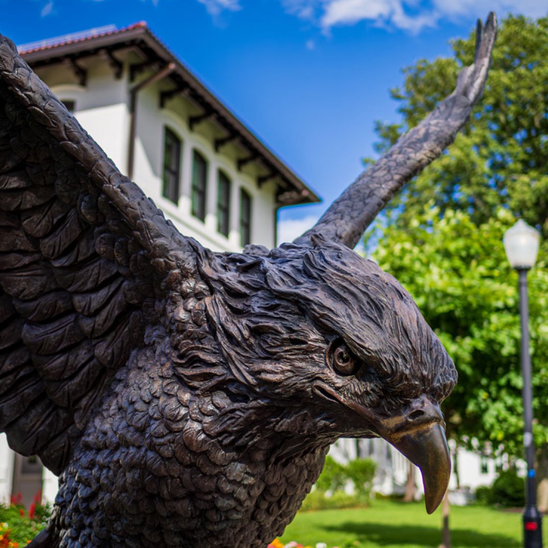 close up of the hawk statue