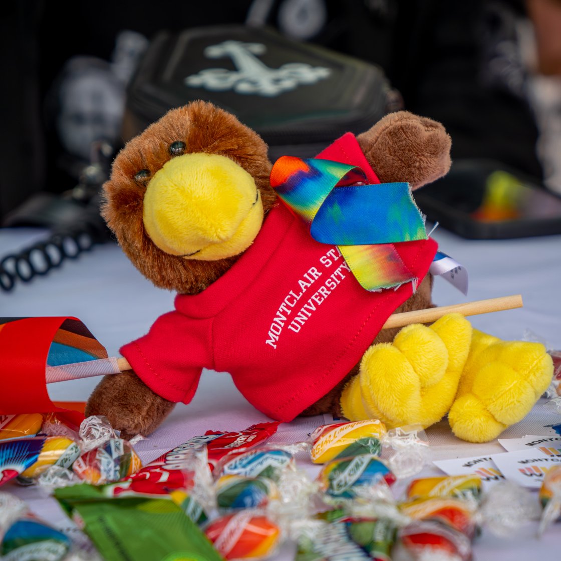 rocky doll at pride