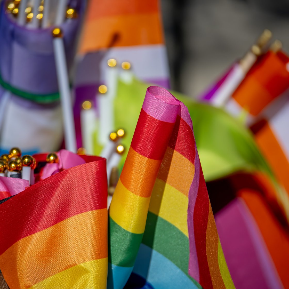 pride flags