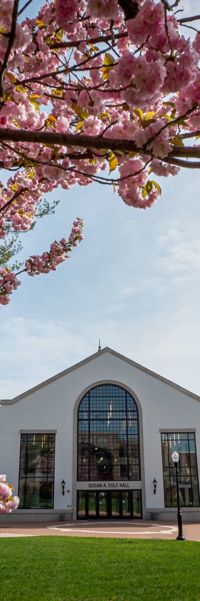 image of cole hall in spring