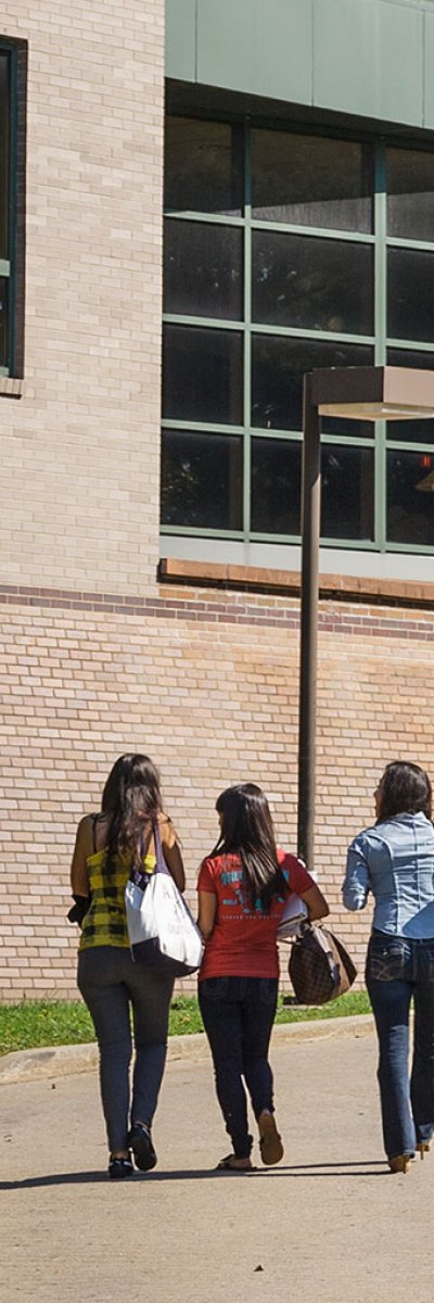 students walking down path near library