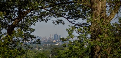 NYC skyline through the trees behind CELS