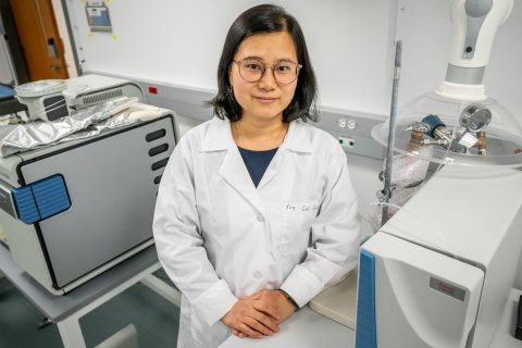 Ying Cui