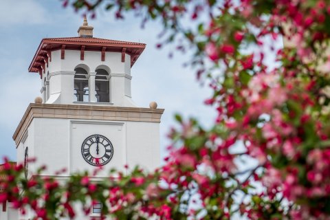 Clock tower on campus behind a tree with pink and green leaves.