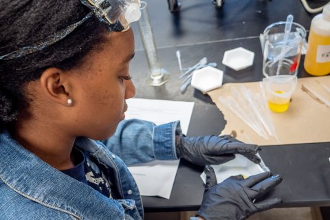 Student in laboratory running tests on a sample