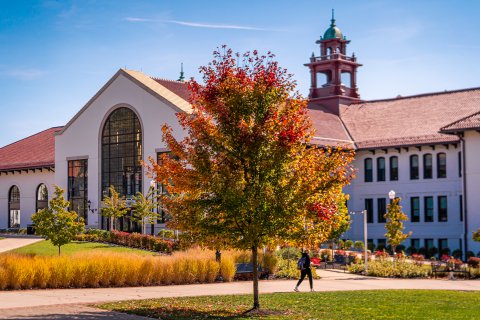 This picture shows a tree with fall-colored leaves in front of Cole Hall.
