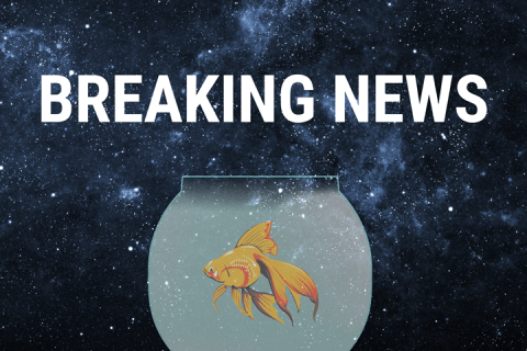 A fish in a fishbowl floating in space with a Breaking News banner