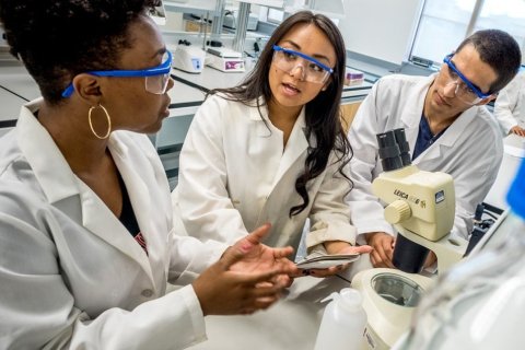 CELS_students-in-lab_120717