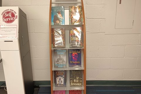 pop picks shelf with leisure books