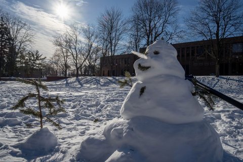 snowman on sunny day